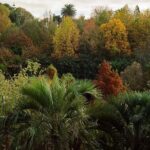 Magical and Exclusive Private Visit to the Fonte Baxa Garden, Luarca - What to Expect from the Tour