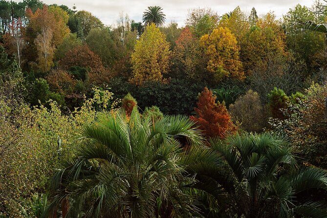Magical and Exclusive Private Visit to the Fonte Baxa Garden, Luarca - What to Expect from the Tour
