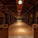 Maison Noilly Prat VIP tour, wine and vermouth tastings - Who Will Love This Tour?
