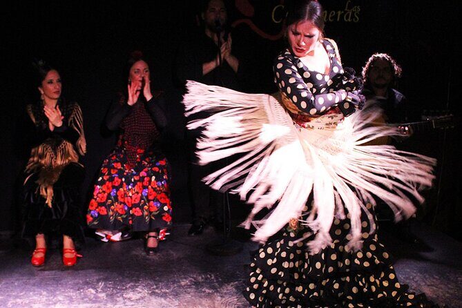 Malaga Gastronomic and Cultural Tour: Tapas, Wine & Flamenco - What’s Included and What’s Not