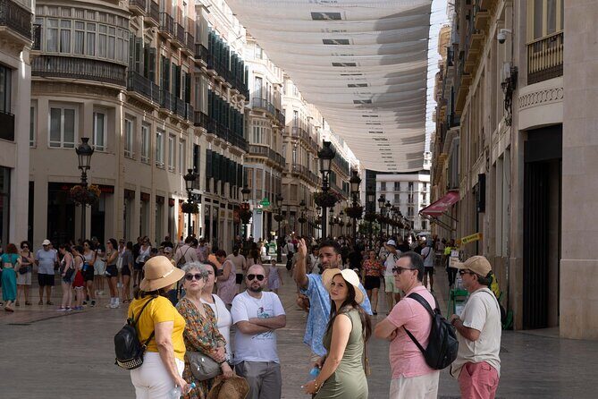 Malaga Walking Tour, Roman Theatre and Alcazaba with Tickets Included - Malaga Cathedral – The “One-Armed Lady”