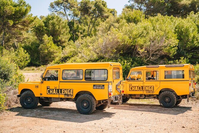 Mallorca: Kayaking, Sea Cave, Cliff Jumping & Snorkel Tour - Who Will Love This Tour?
