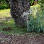 Marathon Battlefield Half Day Private Tour from Athens - Practical Considerations
