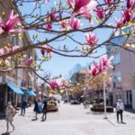 Mariehamn Private Guided Walking Tour - Analyzing the Value & Who It’s For