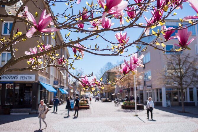 Mariehamn Private Guided Walking Tour - Analyzing the Value & Who It’s For