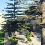 Mdina and Rabat Walking Tour inc. Catacombs and St. Paul's Grotto - Whats Included and Whats Not