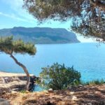 Mediterranean Dream : Cassis, Calanques Boat Ride & Appetizer - Analyzing the Value and Experience