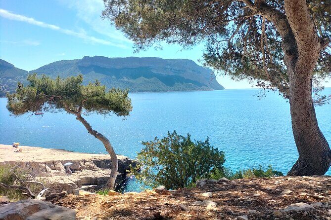 Mediterranean Dream : Cassis, Calanques Boat Ride & Appetizer - Analyzing the Value and Experience