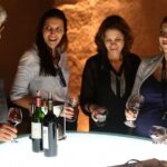 Medoc or Saint Emilion Wine Tasting and Chateau from Bordeaux - Who This Tour Is Best For