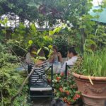 Milan-The secrets to learn fresh pasta and tiramisù - Why You Should Consider This Tour