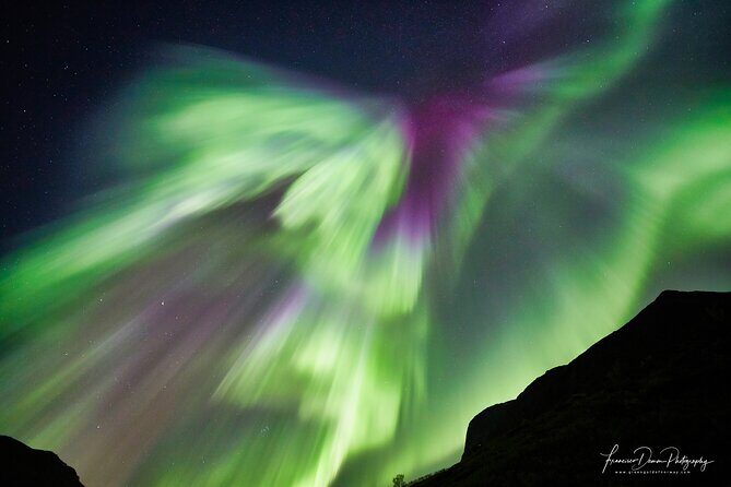 Minivan Northern Lights excursion (8 guests per minivan) - Who Will Love This Tour?