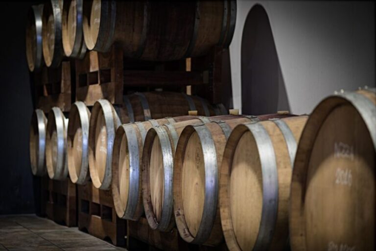 Monferrato: Barbera Wine Tasting Experience - The Tasting: Four Wines in Detail