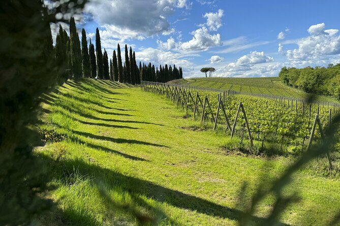 MONTALCINO Essence: Your PRIVAT E-Bike Experience, Top Quality! - What Reviewers Love Most