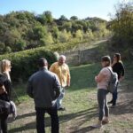Montalcino wine tour - What’s Included & Why It Matters