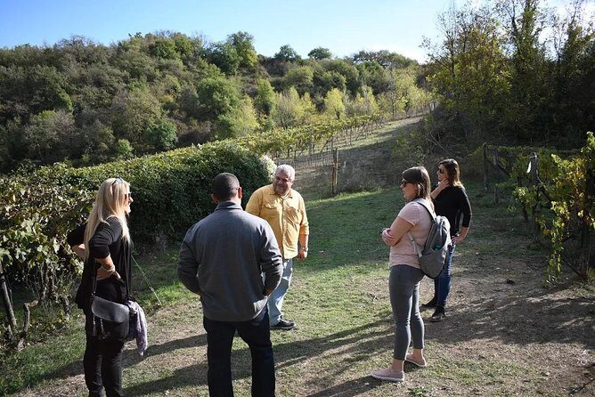 Montalcino wine tour - What’s Included & Why It Matters