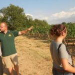 Montefalco: Winery and Oil Mill Tour in with Light Lunch - Authentic Experiences Based on Reviews
