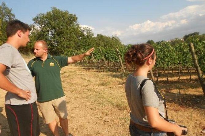 Montefalco: Winery and Oil Mill Tour in with Light Lunch - Authentic Experiences Based on Reviews