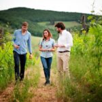 Montefioralle Winery - Tour and Wine Tasting in Chianti - What to Know Before Booking