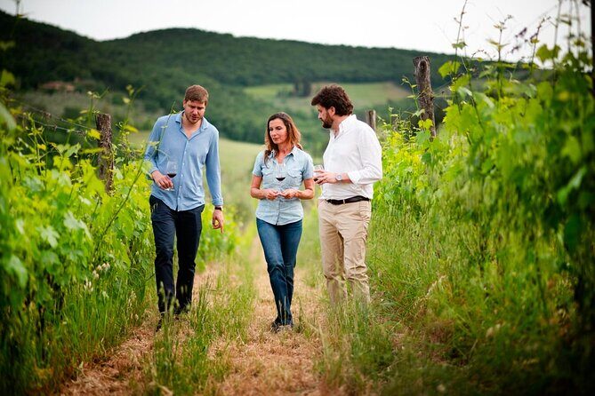 Montefioralle Winery - Tour and Wine Tasting in Chianti - What to Know Before Booking
