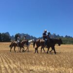 Montserrat Horse Riding and Walking Small Group Tour - Analyzing the Value: Is It Worth It?