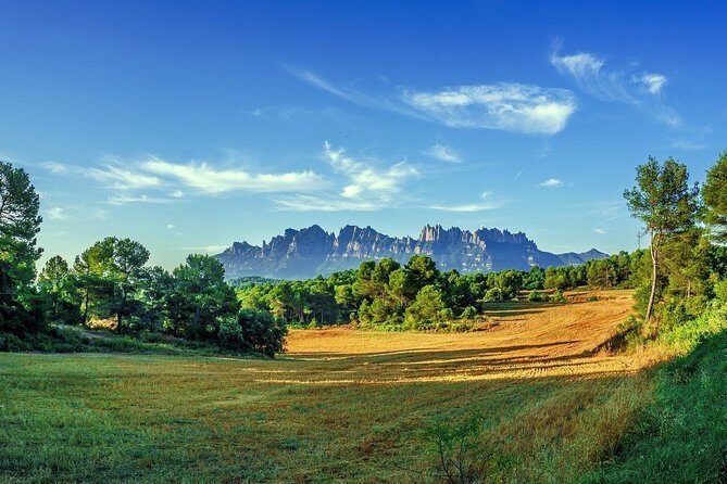 Montserrat Monastery Small Group or Private Tour Hotel pick-up - Who Will Love This Tour?