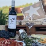 Montserrat tailored private tour: Monastery, winery & more! - Who Will Love This Tour?