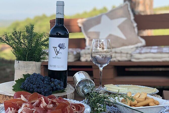 Montserrat tailored private tour: Monastery, winery & more! - Who Will Love This Tour?
