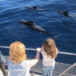 Most Famous Catamaran in Tenerife Island (2 hours and 3 hours tours) - The Pros and Cons