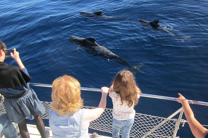 Most Famous Catamaran in Tenerife Island (2 hours and 3 hours tours) - The Pros and Cons