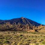 Mount Teide and Teno Country Park Private Tour - Who Is This Tour Best For?