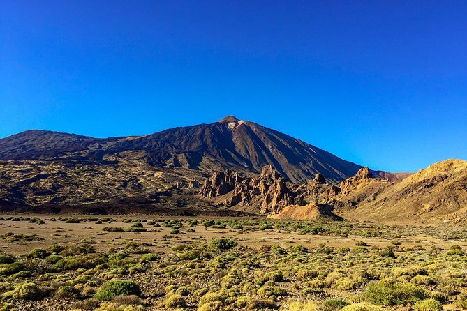 Mount Teide and Teno Country Park Private Tour - Who Is This Tour Best For?