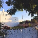 Mozzarella Experience - Cheese Tour and tastings to Masseria Fragnite - Practical Tips