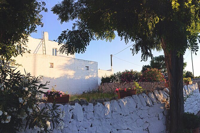 Mozzarella Experience - Cheese Tour and tastings to Masseria Fragnite - Practical Tips