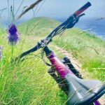 MTB Tour Lake Como Mountain Views & Local Cuisine - What’s Included and What to Consider