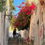 Multicultural Lisbon: Art, Music, Flavour, and Secrets - Exploring Lisbon’s Green and Sunset Spots