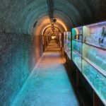 Musee Somme 1916 Admission Ticket - A Detailed Look at the Experience