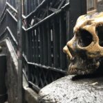 Naples The City of Legends History and Forbidden Cults - What Makes This Tour Special?