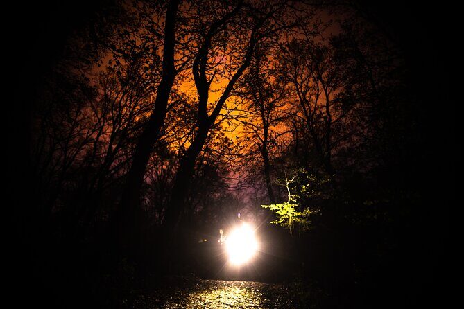 Night Tour in Hoia Baciu Forest - The Sum Up: Is This Night Tour Worth It?