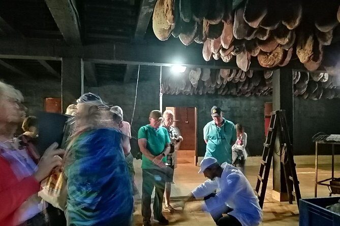 Njegusi Smokehouse, Farm to fork experience & Kotor walking tour - The Itinerary in Detail