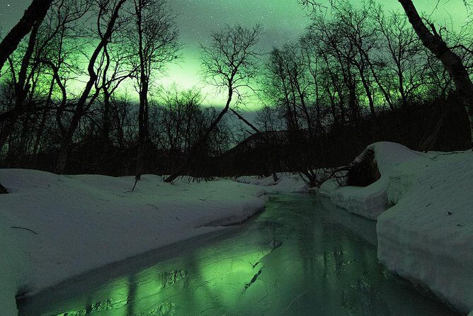 Northern Lights by Minibus. Photos Under the Lights included. Tromso - The Value and Pricing