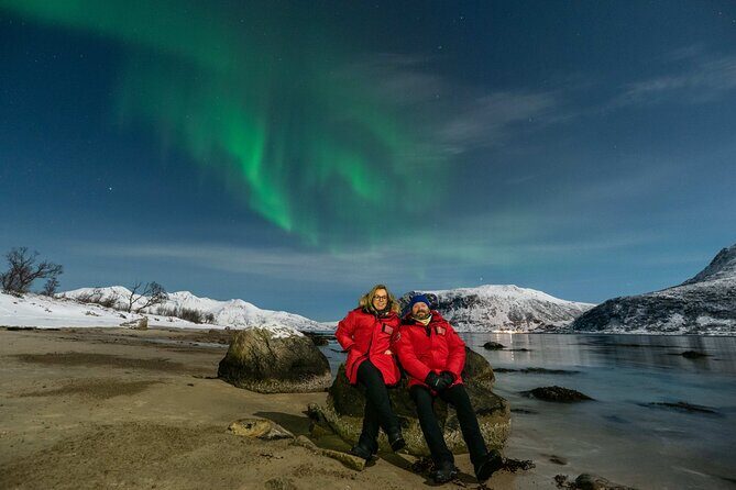 Northern Lights Chase by Minibus - An In-Depth Look at the Northern Lights Chase by Minibus