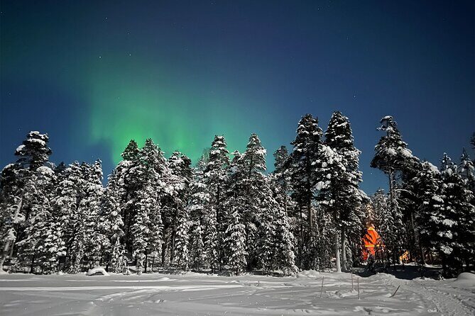 Northern Lights Holiday in Finland - What Makes This Tour Stand Out?