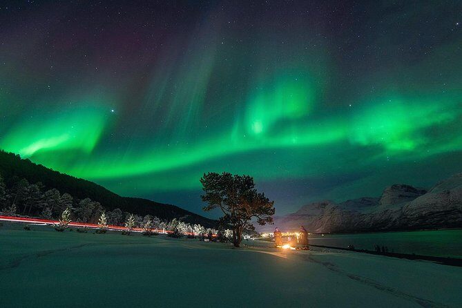 Northern Lights Minibus Chase from Tromso - Analyzing the Value
