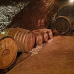 Novi Sad and Fruska Gora with Wine Tasting in Sremski Karlovci - Who This Tour Is Perfect For