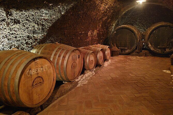 Novi Sad and Fruska Gora with Wine Tasting in Sremski Karlovci - Who This Tour Is Perfect For