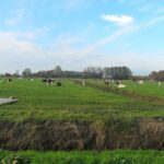 Off the Beaten Paths Dutch Landscape Private Tour 1/2 day Jaguar - The Sum Up