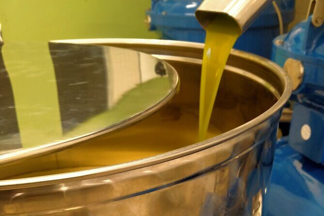 Oil Mill Private Tour with Guided Oil Tasting - Analyzing the Value