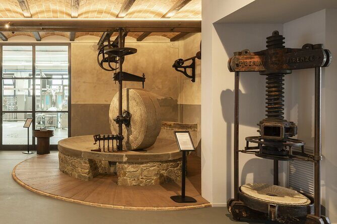 Oil museum and oil mill in Tuscany: tour and tasting - What Reviewers Say