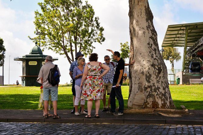 Old Funchal Walking Tour - What Makes This Tour Stand Out?