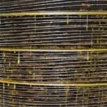 Olive Oil Tasting Tour - Final Thoughts: Is It Worth It?